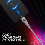 Tempt Punk USB to Type-C Cable | Fast Charging | 4-Core Durable Data Cable | 400Mbps Speed | Compatible with Smartphones, Tablets & Power Banks