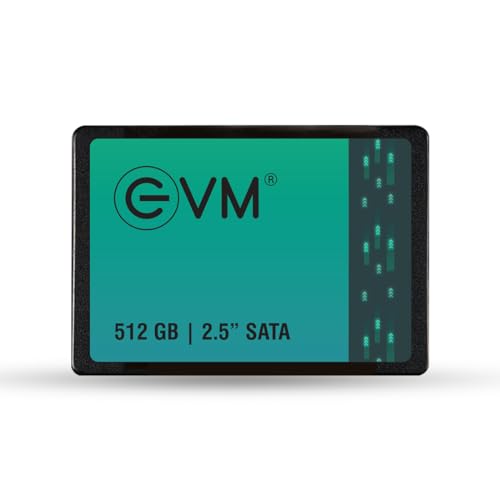 EVM 512GB 2.5-Inch SATA Internal SSD (EVM25/512GB)