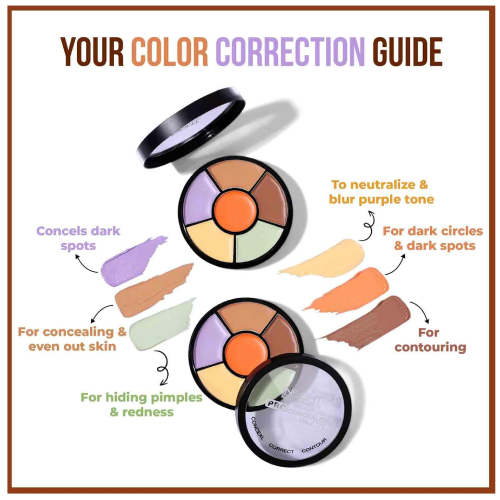 Insight Pro Concealer Palette shade corrector full coverage makeup wheel